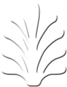 webtempus ch symbole icon logo fontaine